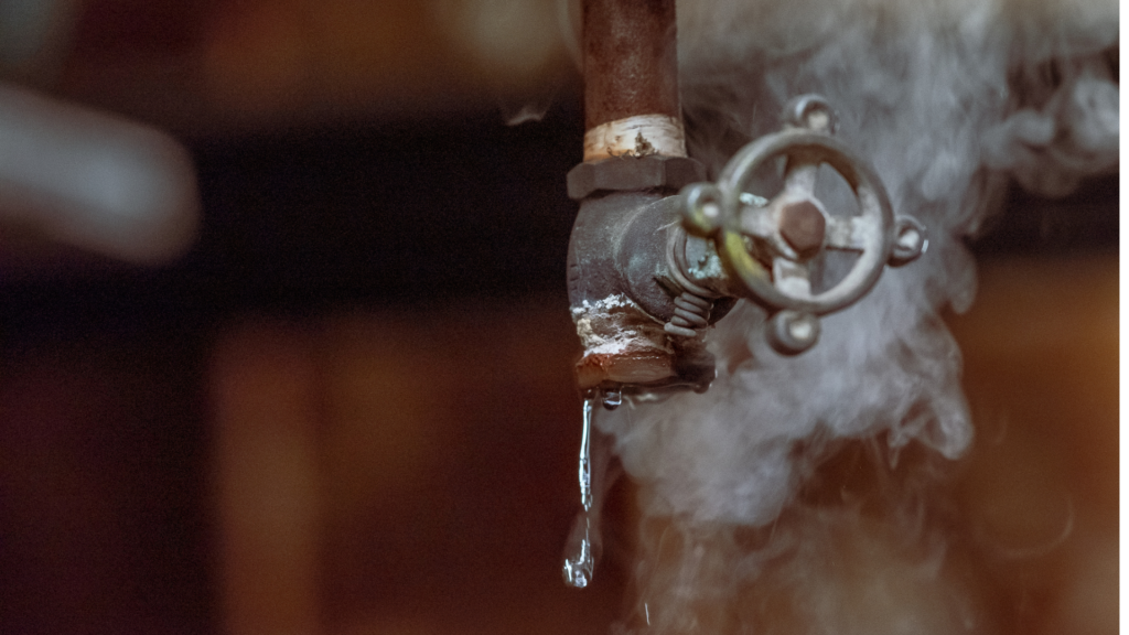 Smoke test plumbing inspection for sewer line leak detection in Aledo, TX