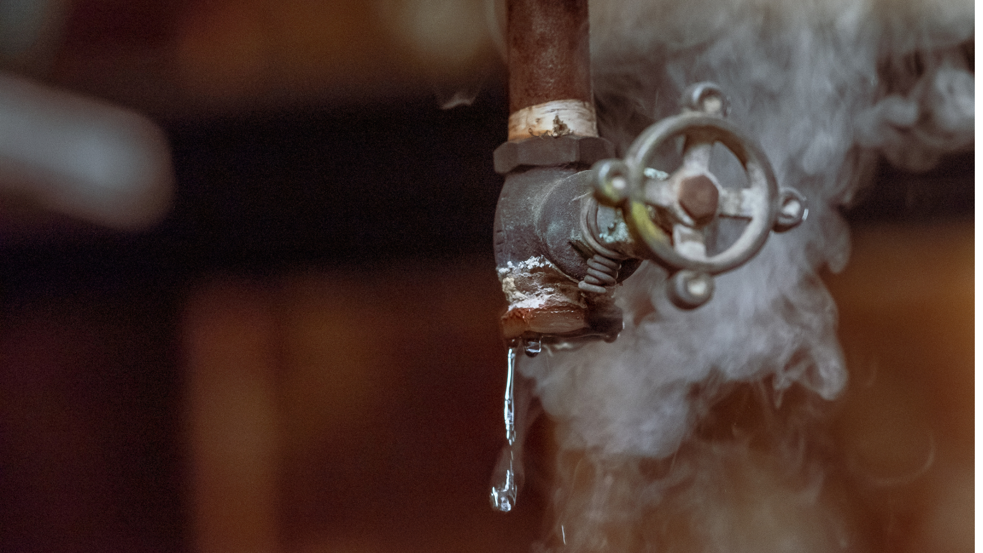 Smoke test plumbing inspection for sewer line leak detection in Aledo, TX